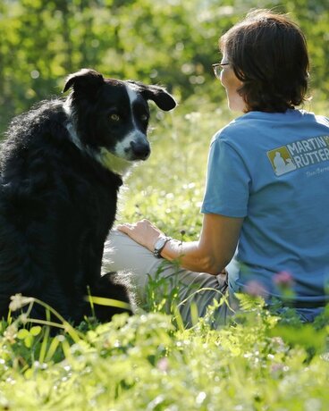 Flynn und Manu sitzen in der grünen Wiese nebeneinander. Flynn schaut in die Kamera.