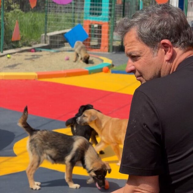 Martin Rütter auf Tierschutzreise in Rumänien im Tierheim