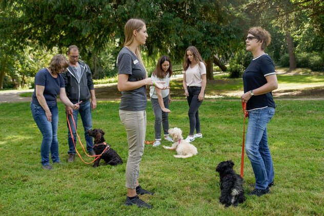 Diverse Menschen, die mit ihren Hunden in der Natur stehen und sich miteinander unterhalten