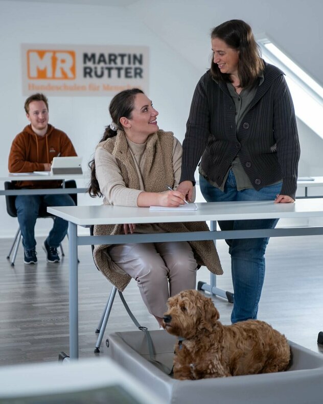 Frau kommuniziert mit einer anderen Frau am Schreibtisch, wo ein Hund drunter liegt