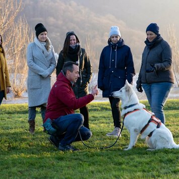 Fünf Personen schauen zu, wie die sechste Person dem Hund etwas zeigt