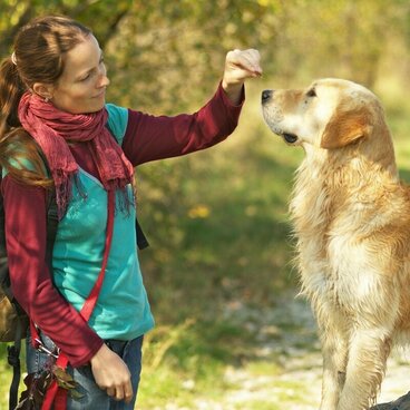 Eine Frau übt einen Trick mit ihrem Hund.