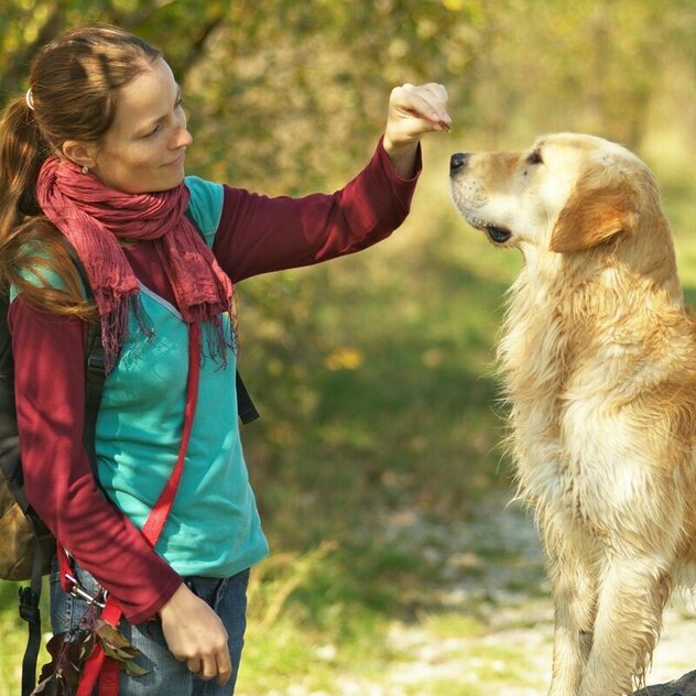 Eine Frau übt einen Trick mit ihrem Hund.