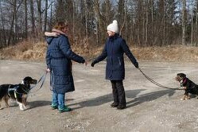 2 Menschen begrüßen sich, Hunde stehen hinter den Menschen und warten