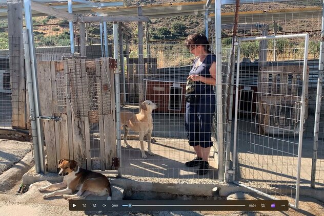 Doreen Hörchner mit Angsthund im Souda Shelter