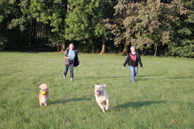 Conny und eine Hundebesitzerin beim harmonischen Spielen mit ihren Hunden