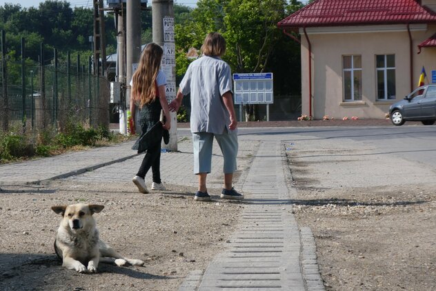 Unbeachteter Streuner am Straßenrand in Rumänien