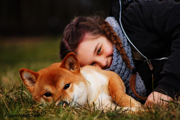 Mädchen liegt mit Therapiebegleithund Shiba Inu Choshi im Gras