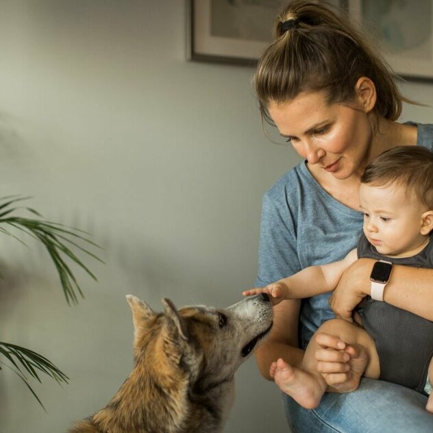 Hund mit Frauchen und Kleinkind