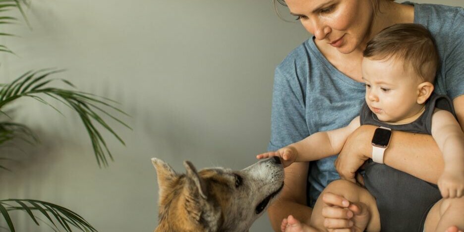 Hund mit Frau und Kleinkind