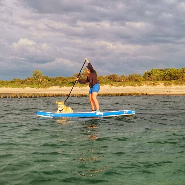 Mensch mit Hund auf dem SUP