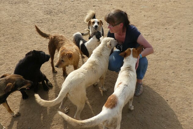 Doreen Hörchner in Interaktion mit mehreren Tierheimhunden in Ägypten