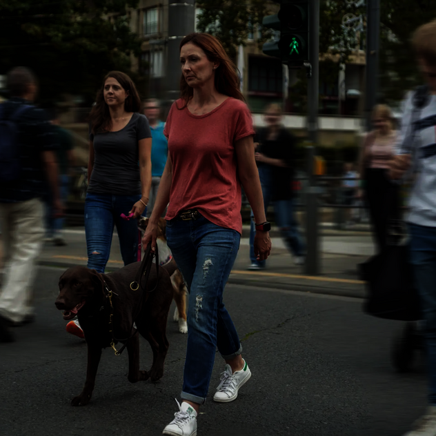 Frau mit Hund an lockerer Leine überquert belebte Straße