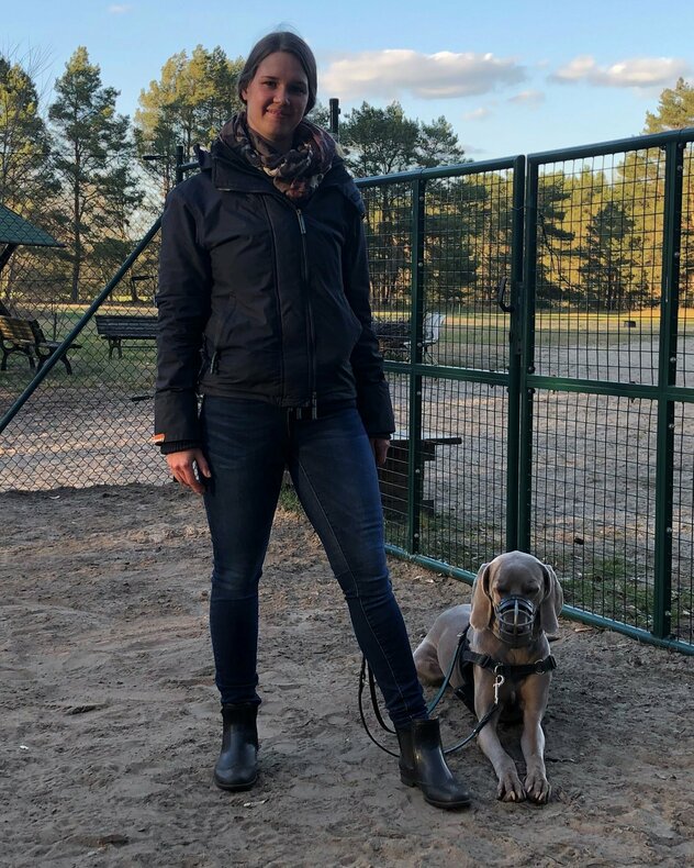 Weimaraner mit Maulkorb neben Frauchen liegend