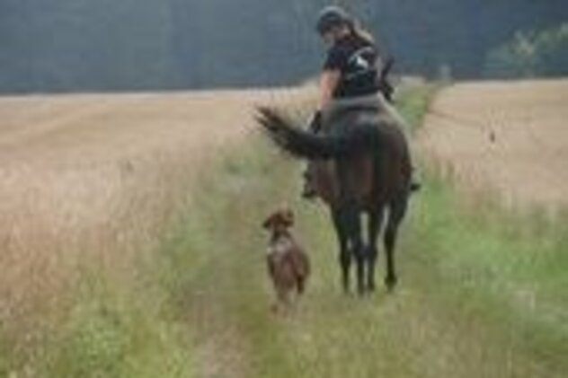 Claudia am Pferd auf Wiese daneben Gasira