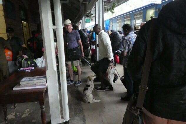 Streuner auf überfülltem Bahnsteig auf Sri Lanka