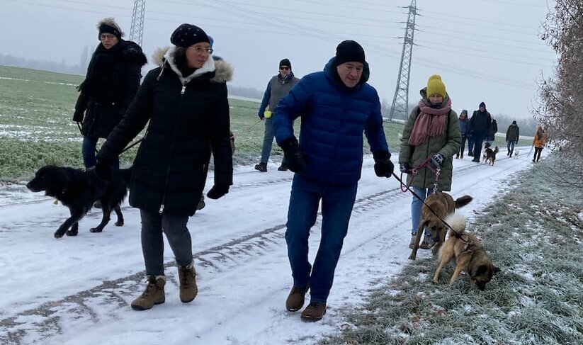 Gruppe Menschen mit Hunden spazieren in winterlicher Umgebung