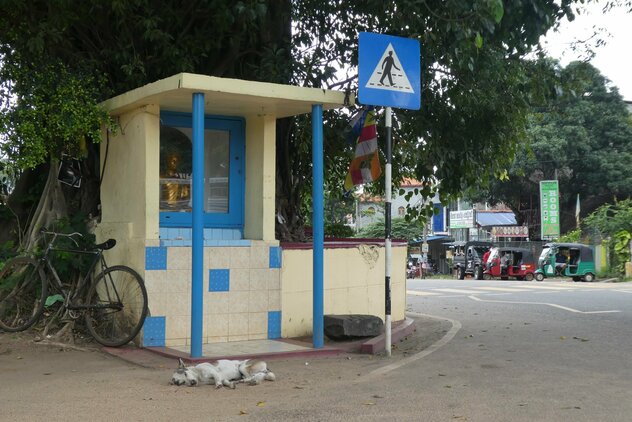 Streuner schläft an Bushaltestelle auf Sri Lanka