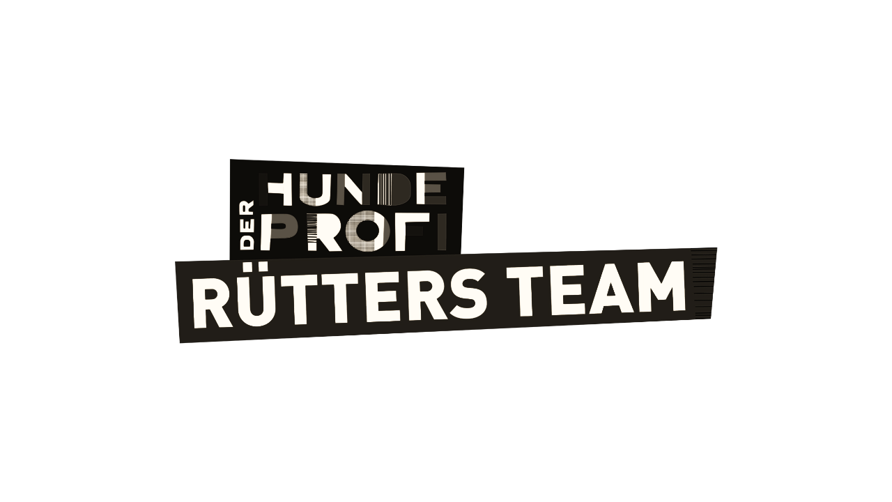 Der Hundeprofi - Rütters Team