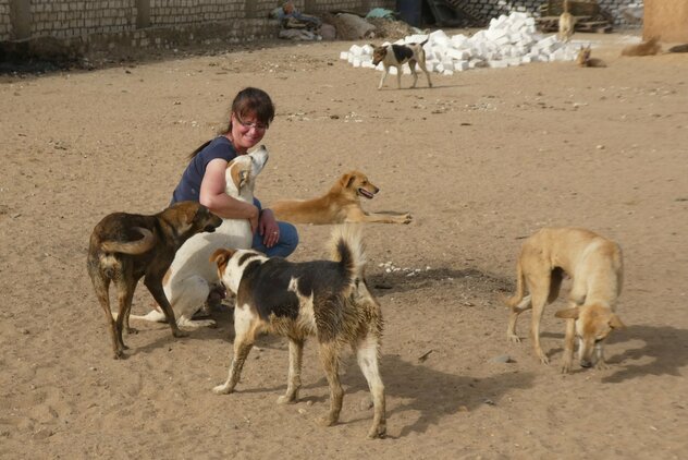 Doreen Hörchner mit Tierheimhunden in Ägypten