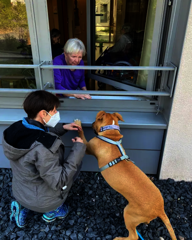 Claudia Fink und Besuchshund Pablo besuchen Seniorin am Fenster