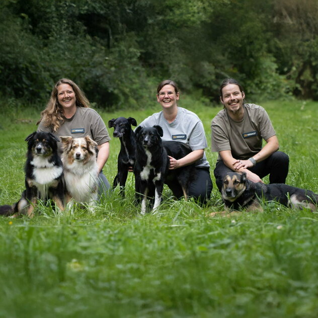 Team Foto Martin Rütter Hundeschule Koblenz-Neuwied mit Hunden