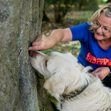 Andrea J. führt mit Goldendoodle Bolle ein Suchspiel an einem Baum durch