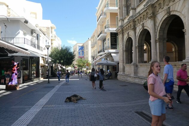 Streuner macht in kretanischer Großstadtpassage Pause