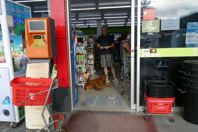 Besitzerhund in thailändischem Supermarkt