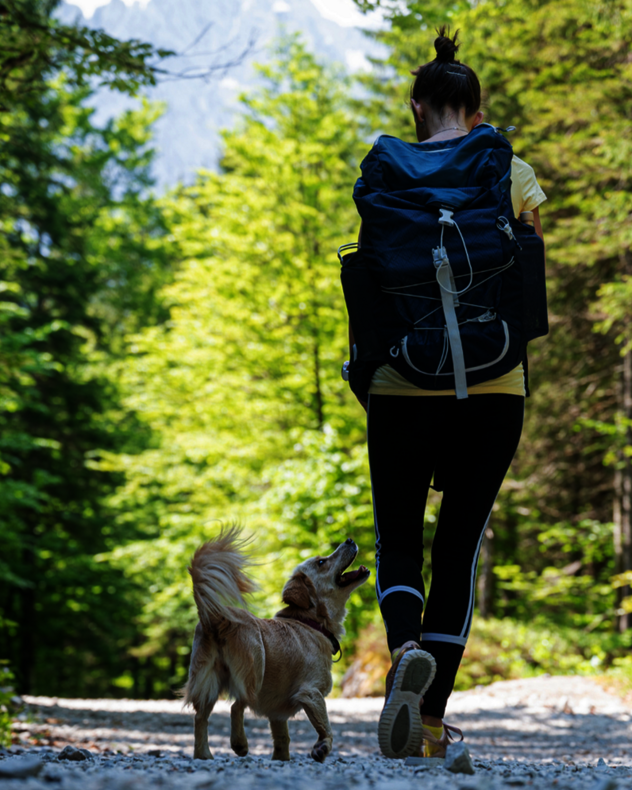 Umweltsicherheit und Harmonie beim Spaziergang