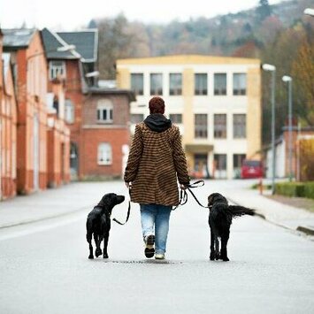 Frau läuft mit zwei Hunden auf der Straße weg