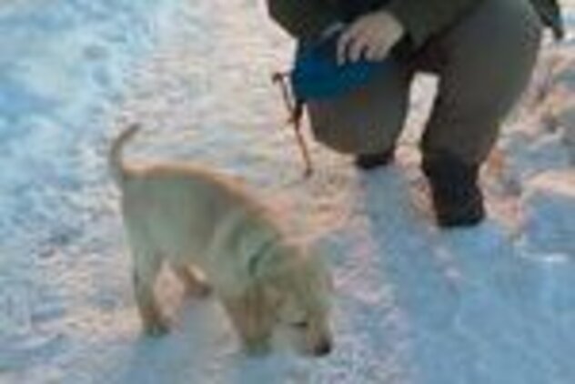 Claudia in der Hocke mit Cooper als Welpe im Winter