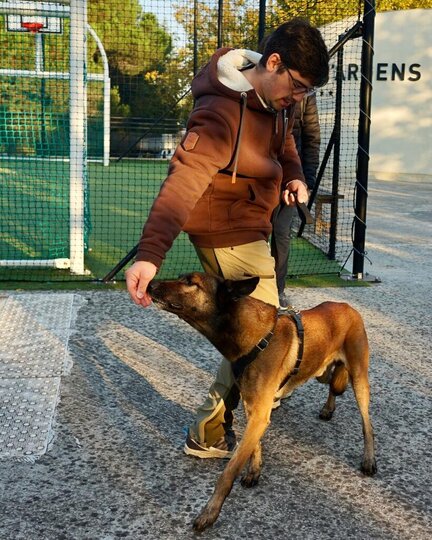 Hundetrainer_Yves_Raschle_Hundeschule_Malinois Hundetrainer mit Malinois