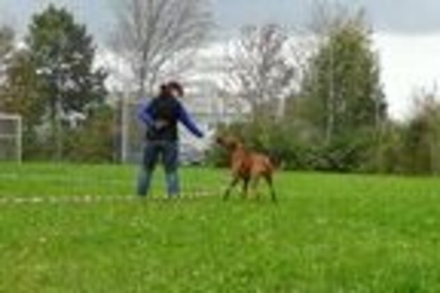 Claudia mit Hund Gasira auf grüner Wiese