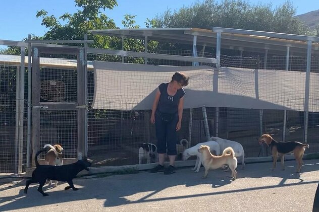 Hundegruppe mit Doreen Hörchner im Souda Shelter