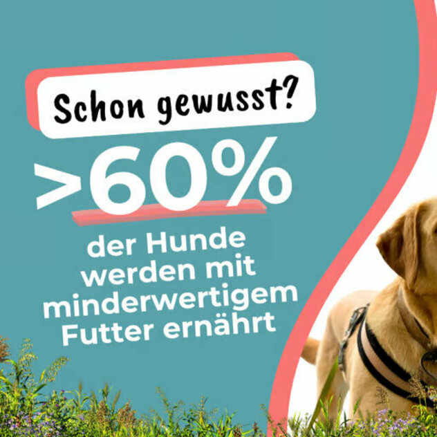 Gutschein für Futter von Alpenwuff, Code: 100BBN.