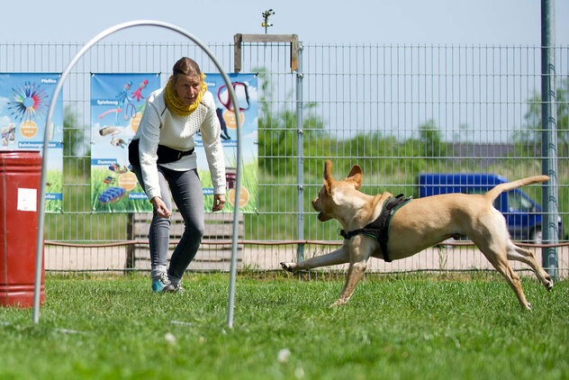 Hundebeschäftigung: Eine Frau trainiert mit ihrem Hund für Hoopers Agility.