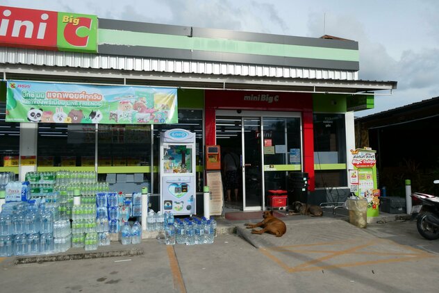 Streuner liegen vor thailändischem Supermarkt