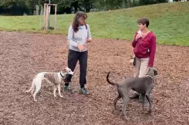 Martin Rütter Hundetrainerin Claudia Fink mit Kundin Marita auf der Hundewiese zum Training gegen Maritas Angst vor Hunden