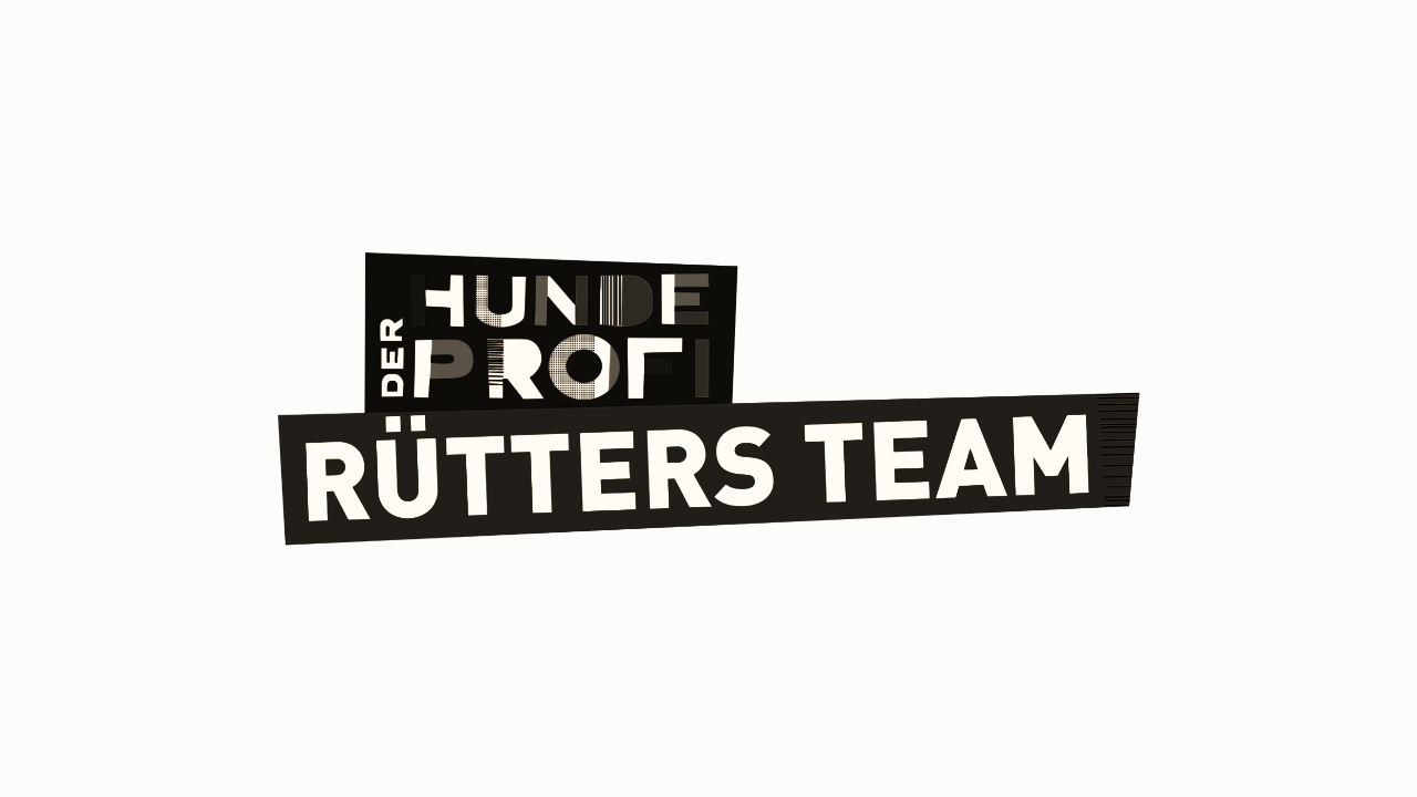 Der Hundeprofi - Rütters Team