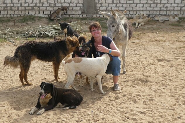 Doreen Hörchner mit Tierheimhunden und Esel in Ägypten