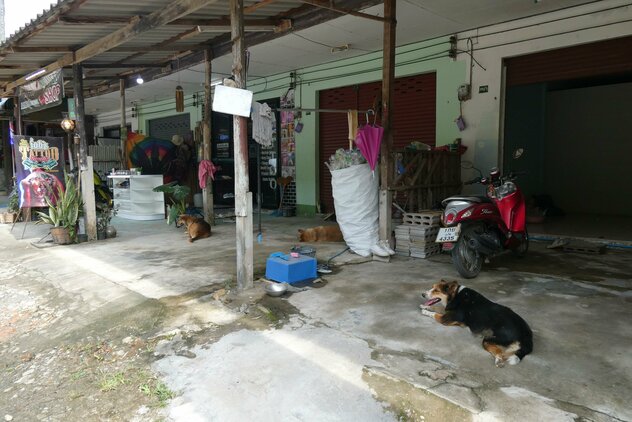 Besitzerhunde vor thailändischen Werkstätten und Geschäften