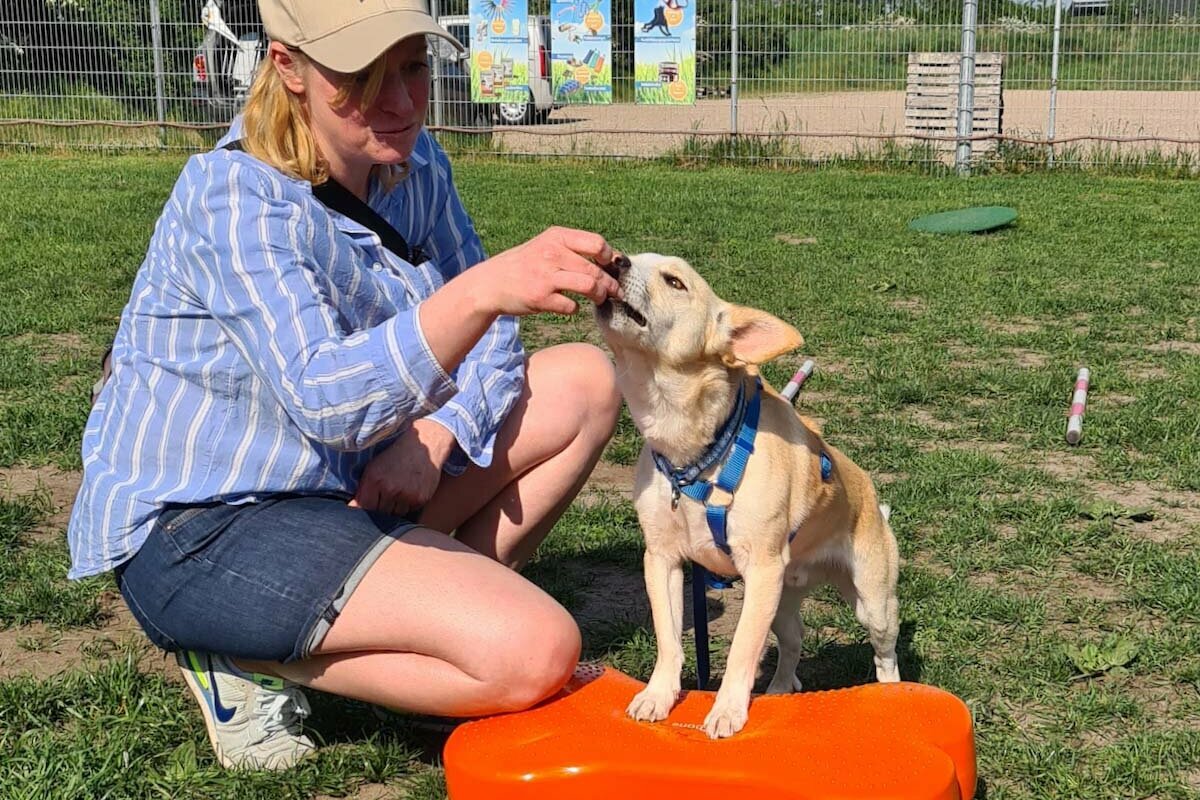 Mobility: Eine Frau lockt einen kleinen Hund auf ein Noppenkissen.