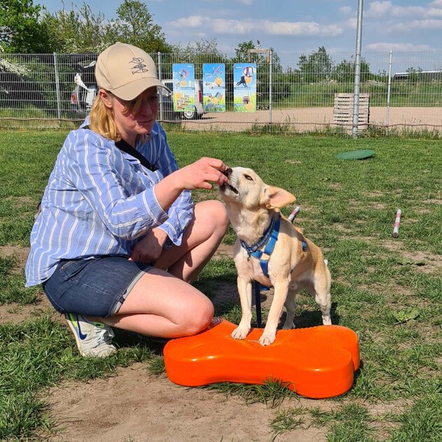 Mobility: Eine Frau lockt einen kleinen Hund auf ein Noppenkissen.