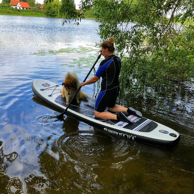 SUP Board mit Hund und Mensch Rostock