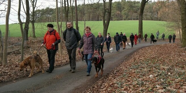 Wandergruppe mit Hunden