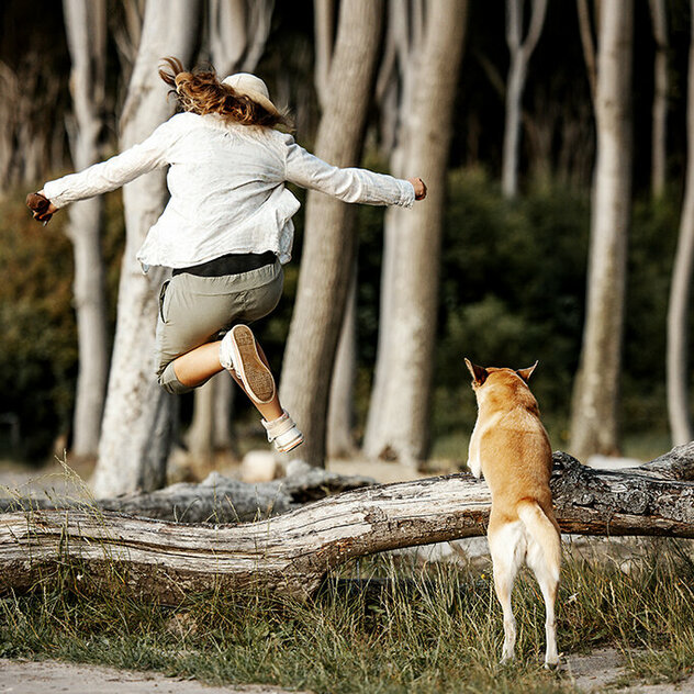 Mensch Hund Sprung über den Baum