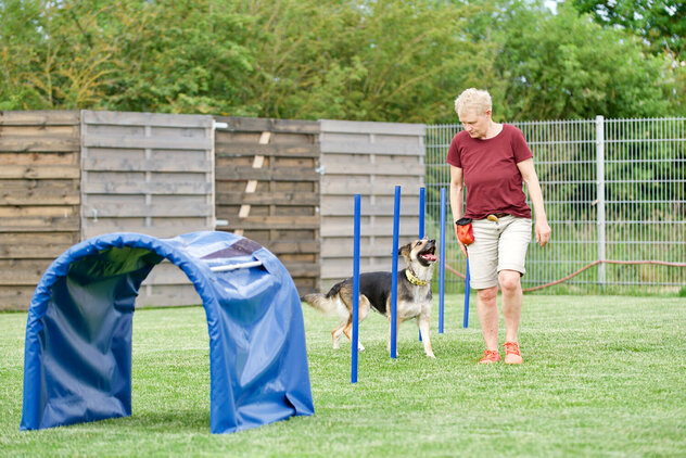 Hundebeschäftigung: Eine Frau führt ihren Hund um blaue Slamomstangen herum.