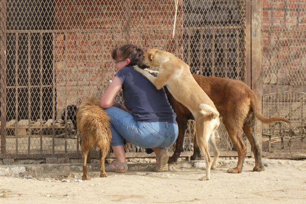 Doreen Hunden mit Hunden vor einem Tierheimzwinger in Ägypten