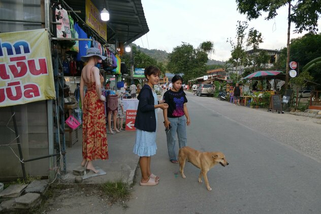 Streuner in touristischem Zentrum von Khao Sok